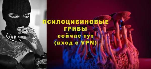 бутират Алзамай