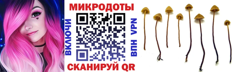 продажа наркотиков  дарк нет состав  Галлюциногенные грибы Magic Shrooms  Ревда 